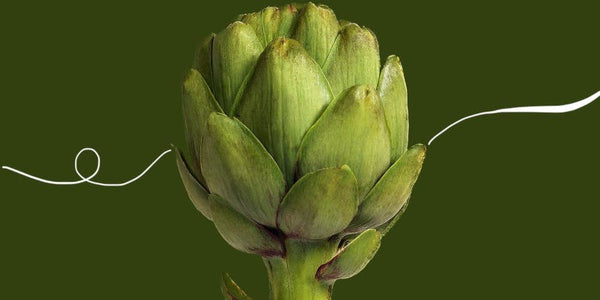 Artichoke: How Is It Good for Detoxification?