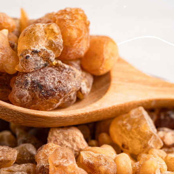 blog-1-1 Can Boswellia Relieve Joint Pain? Here's What Science Says – Life Nutrition