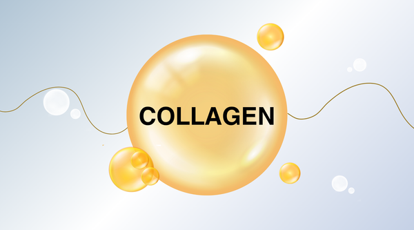 Collagen: The Foundation of Youth and Flexibility