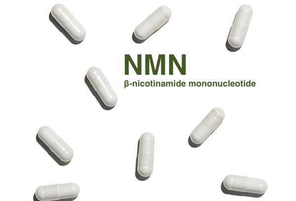 NMN: The Secret to Anti-Aging?