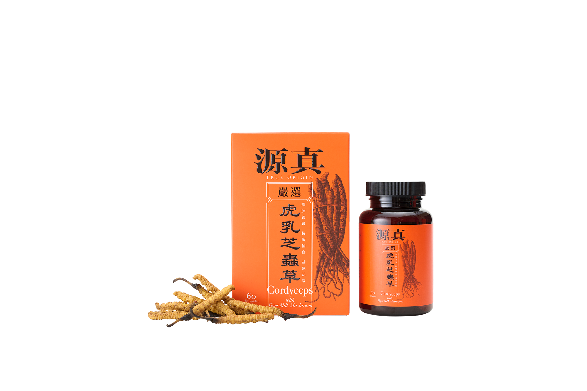 Cordyceps with Tiger Milk Mushroom