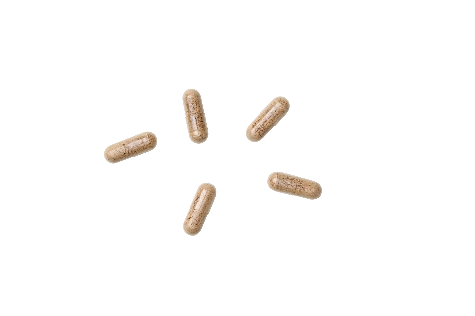 Cordyceps with Tiger Milk Mushroom