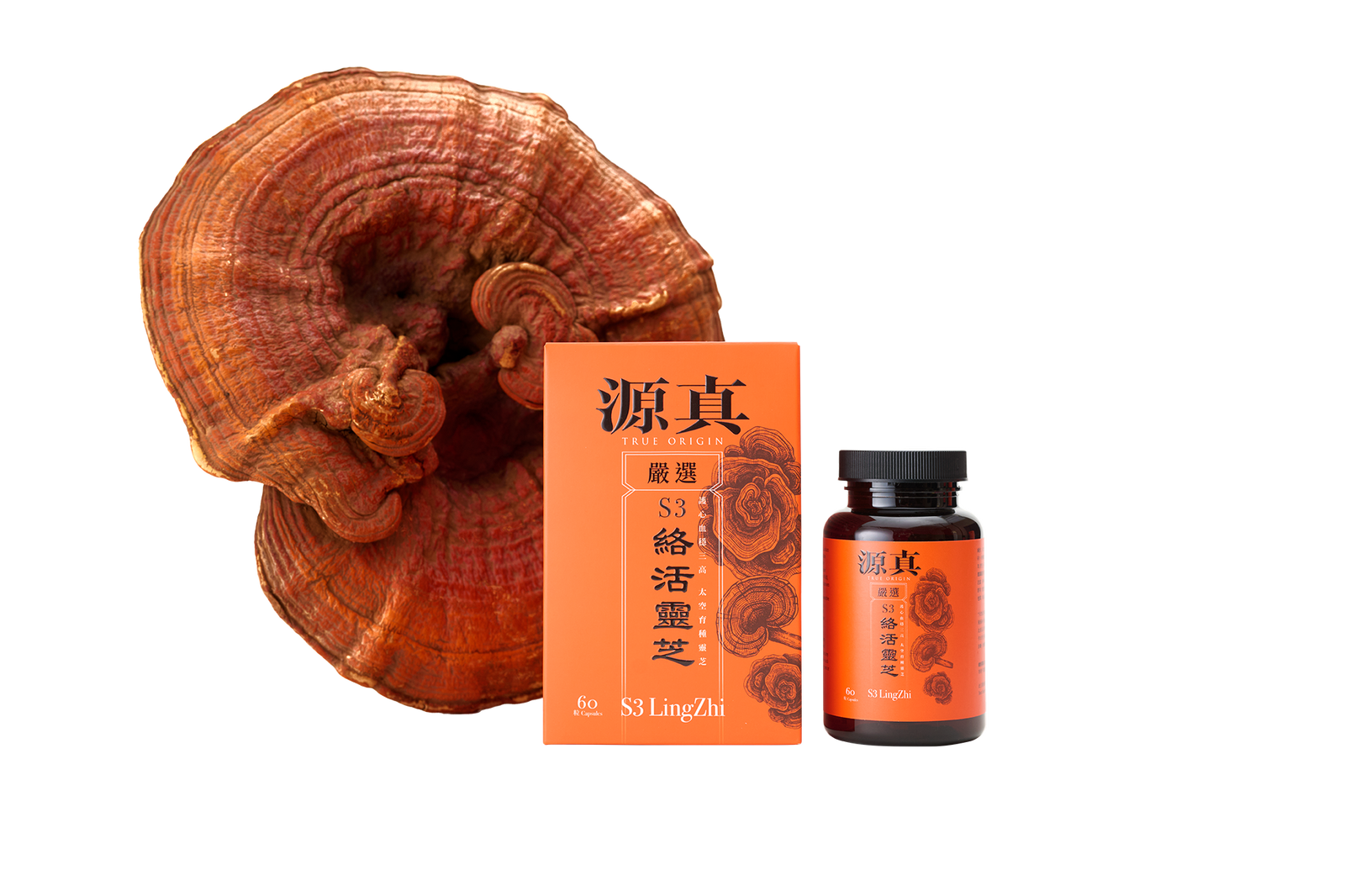 源真S3絡活靈芝– Life Nutrition